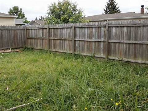 A fenced back yard with grass grown tall and uneven right up to the fence line.